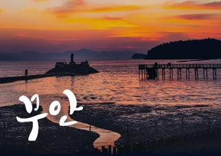 무안군
