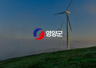 영양군청1.png